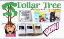 Dollar Tree Haul | Beauty, Planner and a Winner! | PrettyThingsRock