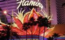 Flamingo Hotel Las Vegas June 2015 Standard double bed Room Tour