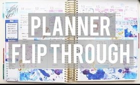 PLANNER FLIP THROUGH