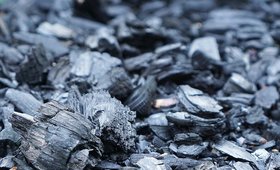 The 4 Types of Charcoal You’ll See in Beauty Products