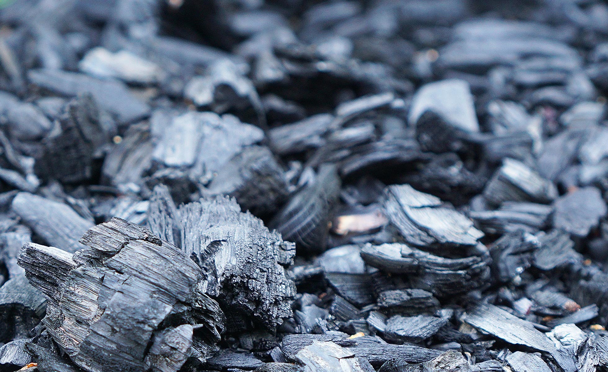 4 Types of Charcoal To Complete Your Skin and Hair Routine | Beautylish