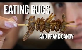 PARENTS EATING BUGS + PRANK CANDY