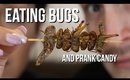 PARENTS EATING BUGS + PRANK CANDY