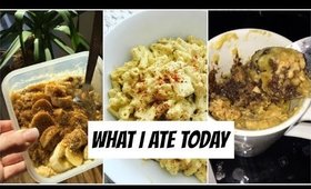 WHAT I ATE TODAY TO LOSE WEIGHT! (HCLF VEGAN) | MAC & CHEESE, CAKE IN A MUG | LoveFromDanica
