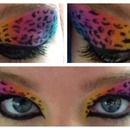 multi colored leopard