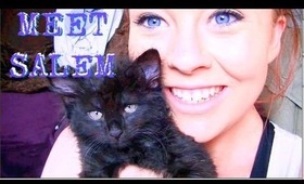 Meet My Kitten Salem