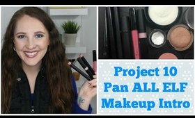 Project 10 Pan Intro ALL ELF MAKEUP