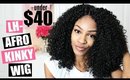 Afro Kinky Wig Review- SamsBeauty LH-AFRO KINKY