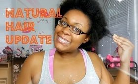 One Year Natural Hair UPDATE