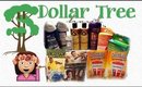 Dollar Tree Haul #23 | I Am Loving Dollar Tree!| PrettyThingsRock
