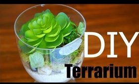 EASY DIY TERRARIUM