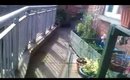 My Urban Container Garden UK - June 2015