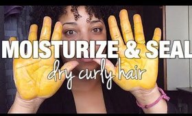 How I MOISTURIZE & SEAL DRY HIGH POROSITY Curly Hair | daytime routine | MelissaQ