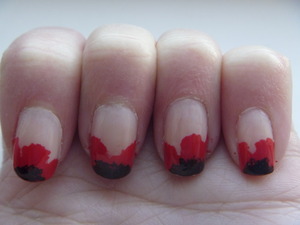 Poppies for Remembrance Day, November 11 2011
