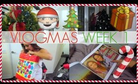 VLOGMAS WEEK 1 DEC 1-DEC 6 | Decorating Tree + Birthday Celebrations + MORE!