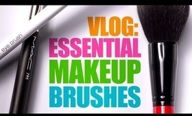My Essential Makeup Brushes!