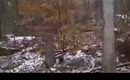 Vlog Dayz: West Virginia Mountain Creek Cabins