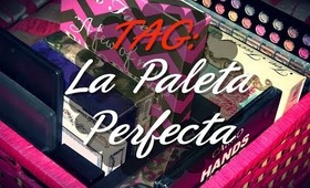 ◘ TAG: La Paleta Perfecta ◘