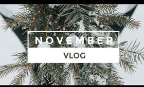 NOVEMBER VLOG | JESSIE CHOI