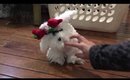 Dancing Christmas Puppy
