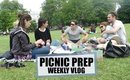Picnic Prep | Lily Pebbles Vlog