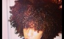 ❤Beauty By Lee's❤ Wash N Go to achieve a seven day curly fro