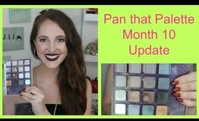 Pan that Palette Month 10 Update