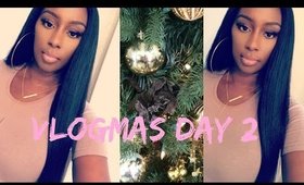 Vlogmas Day2| She Stole My Package| Decorating the Tree