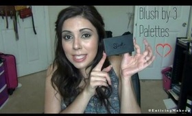 Sleek Blush by 3 Palettes