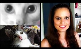 5 Cat Care Tips & Random Facts