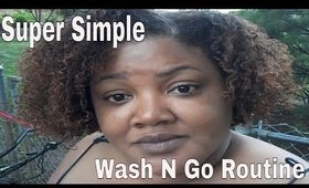 Super Defined Wash N Go Routine | Brandi1525