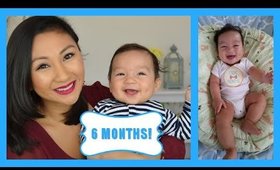 6 Month Baby Update!