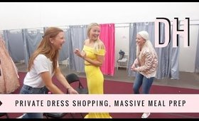 Daily Hayley | Private Dress Shopping, Massive Meal Prep