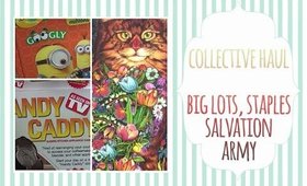 Collective Haul | Big Lots, Staples & Salvation Army | PrettyThingsRock