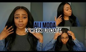 Ali Moda 2 Week Update | Peruvian Straight