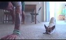 Italian Dog Doing Yoga