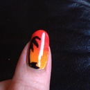 shellac and additives sunset