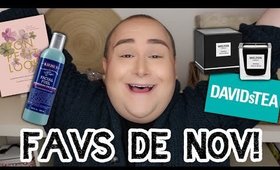 FAVS DE NOVEMBRE  |  jeanfrancoiscd