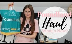 POUNDLAND HAUL FEBRUARY 2018 - What's New?!