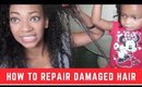 How to Repair Natural Hair | ApHogee Protein Treatment | Curly Hair Routine