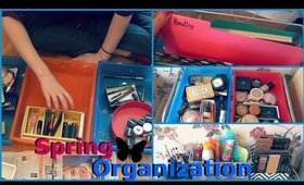 Spring Declutter & Organization Tips & Tricks | Makeup