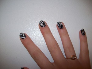 zebra stripes