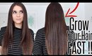 How To REALLY Grow LONG HAIR FAST & NATURALLY!