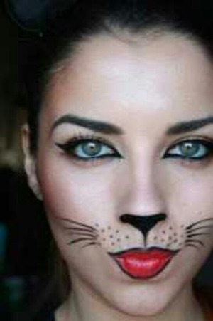 Doing this cat makeup look :)