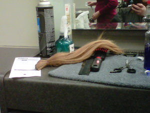 My ponytail! it's about 12 inches that I'm donating 