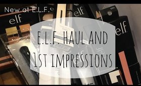 ELF Haul and 1st Impressions | New from ELF Cosmetics Review