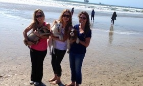 DITL 50: Dog Beach & Trader Joes