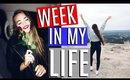 COLLEGE WEEK IN MY LIFE | SURPRISING MY DAD W/ A TRIP TO CHICAGO, VALENTINE'S DAY, & HIKING