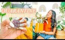 13 Quarantine Things to Do: Things to do in Quarantine [Roxy James]#quarantine #quarantinethingstodo