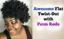 EASY Flat Twists & Perm Rods on Natural Hair |TheMindCatcher